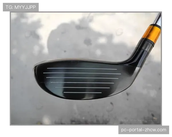 战术复盘：舍夫勒在威士伯锦标赛决赛轮如何利用精准铁杆锁定胜局